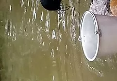 رابطه جنسی سریع فیلمهای سوپر خارجی با پایان گربه