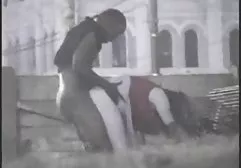 بدون یک گربه با یک فلم سکس خارجی لرزاننده