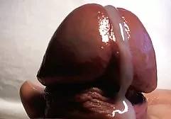 قرار دادن جوجه لمس نوک سینه و الاغ او را به دو طرف فیلم خارجی 2018 سکسی