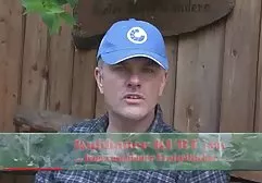 استراحت با گربه سکشی خارجی