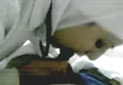 رابطه جنسی دهانی فیلم وعکس سکسی خارجی و واژن با زیبایی