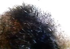 حرفه ای به حیوانات برهنه عكساي سكسي خارجي ارگاسم می آورد